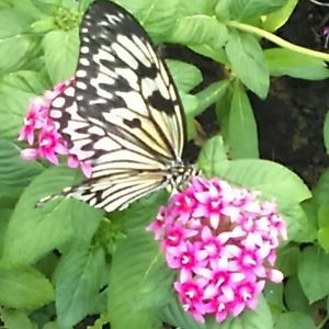 Meet your Posher, Jami